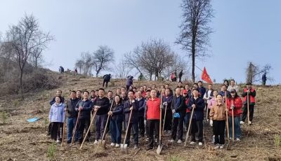 d7fcd862-04ab-478a-bc0d-d6a4f6b6a00a