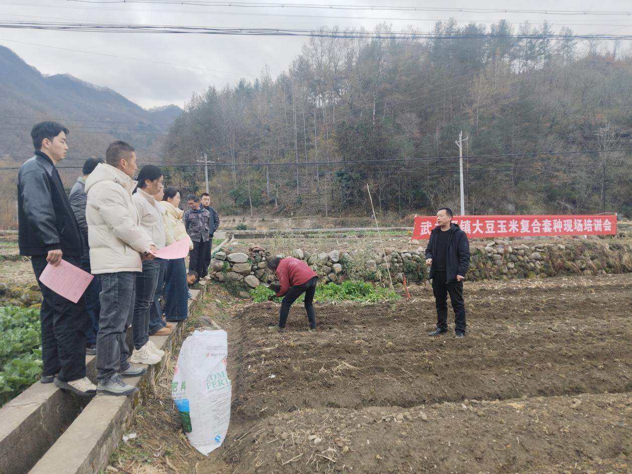 微信图片_20260304113937_347_3