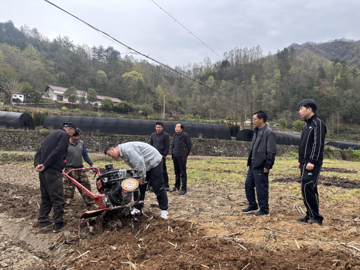 微信图片_20260402105419_513_3