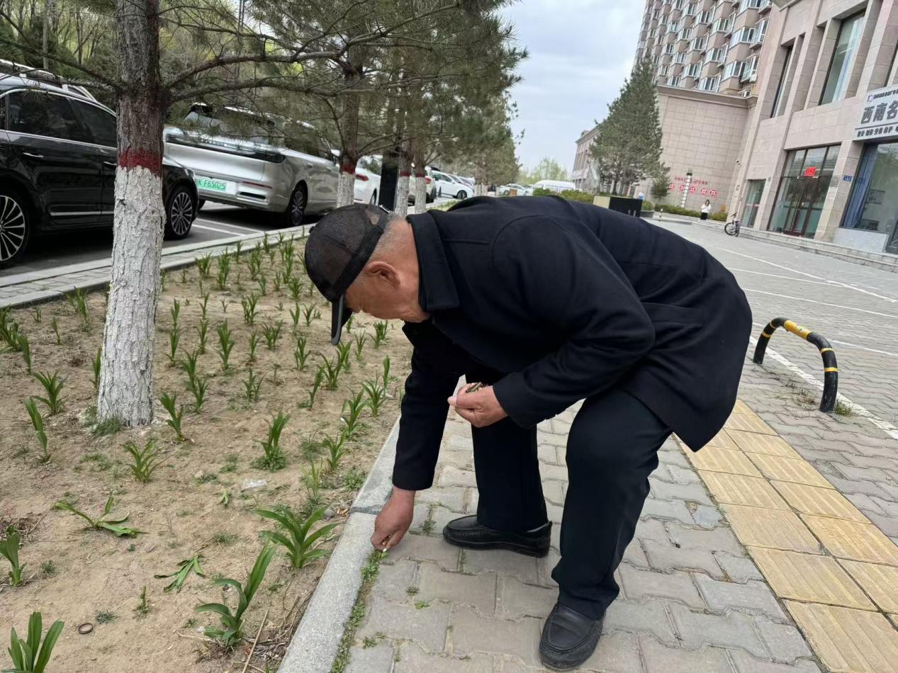 36951d01aeb2e49252380c5d1d5cd8e4