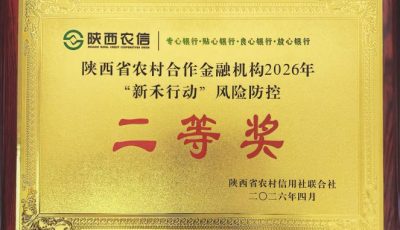 4.28风险防控二等奖奖牌