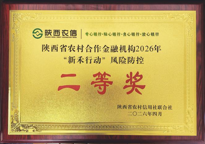 4.28风险防控二等奖奖牌