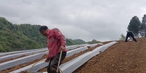 51472bad1cb8227d7744947c2ec5fc60