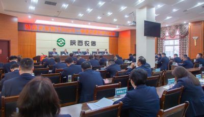 _59A8160-已增强-降噪