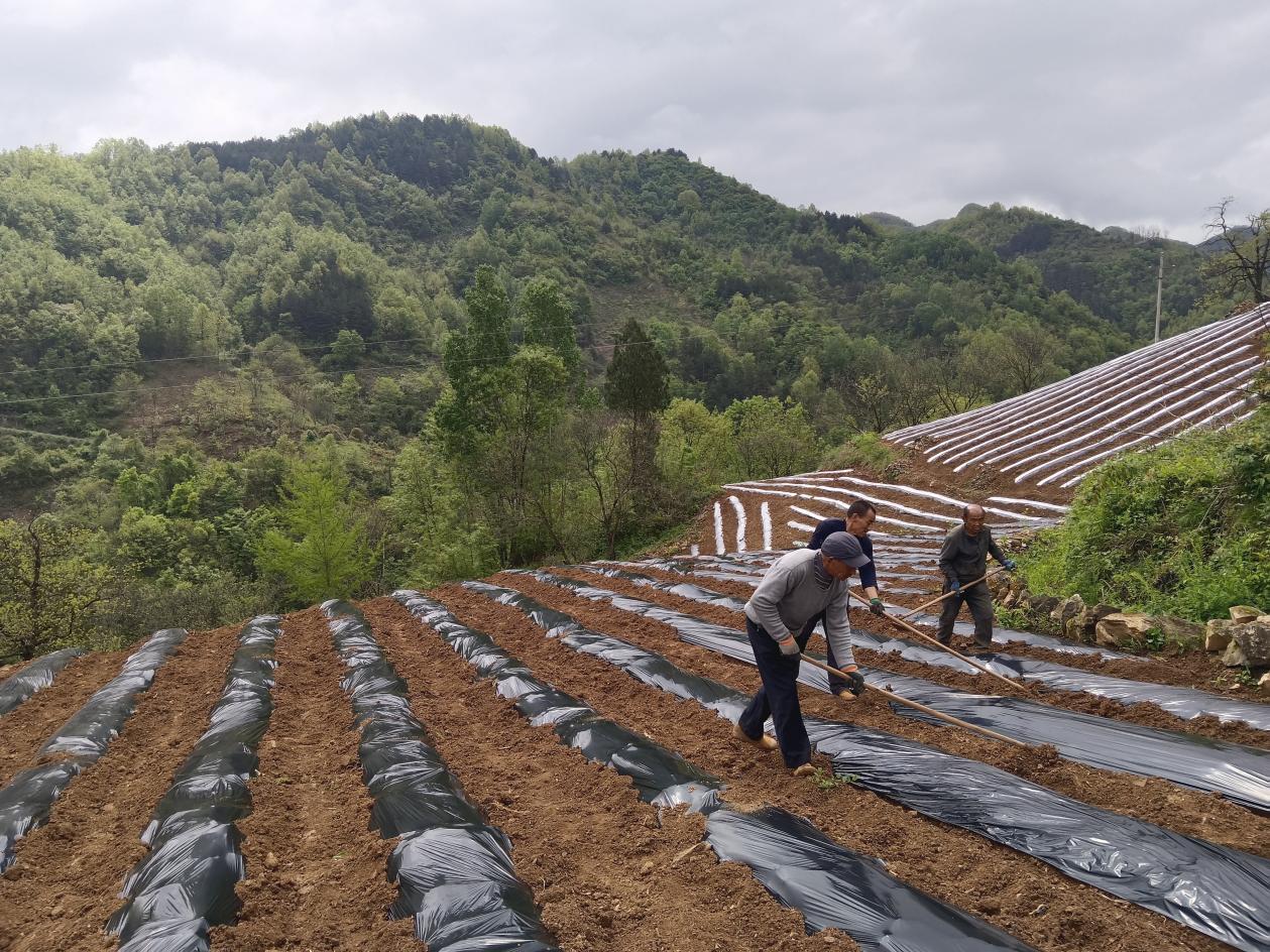 6509bef8bddb298daa33165354cf8679