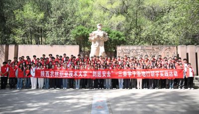 CD256B400226E9A64A00C560AD2_438557DA_C5866