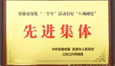 IMG_256