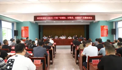 IMG_256