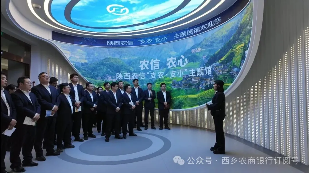 IMG_256