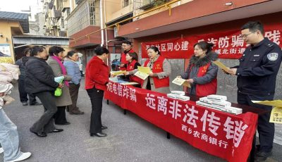 凝心铸魂强根基 特色引领促发展——西乡农商银行党委打造特色党支部工作纪实 (2)