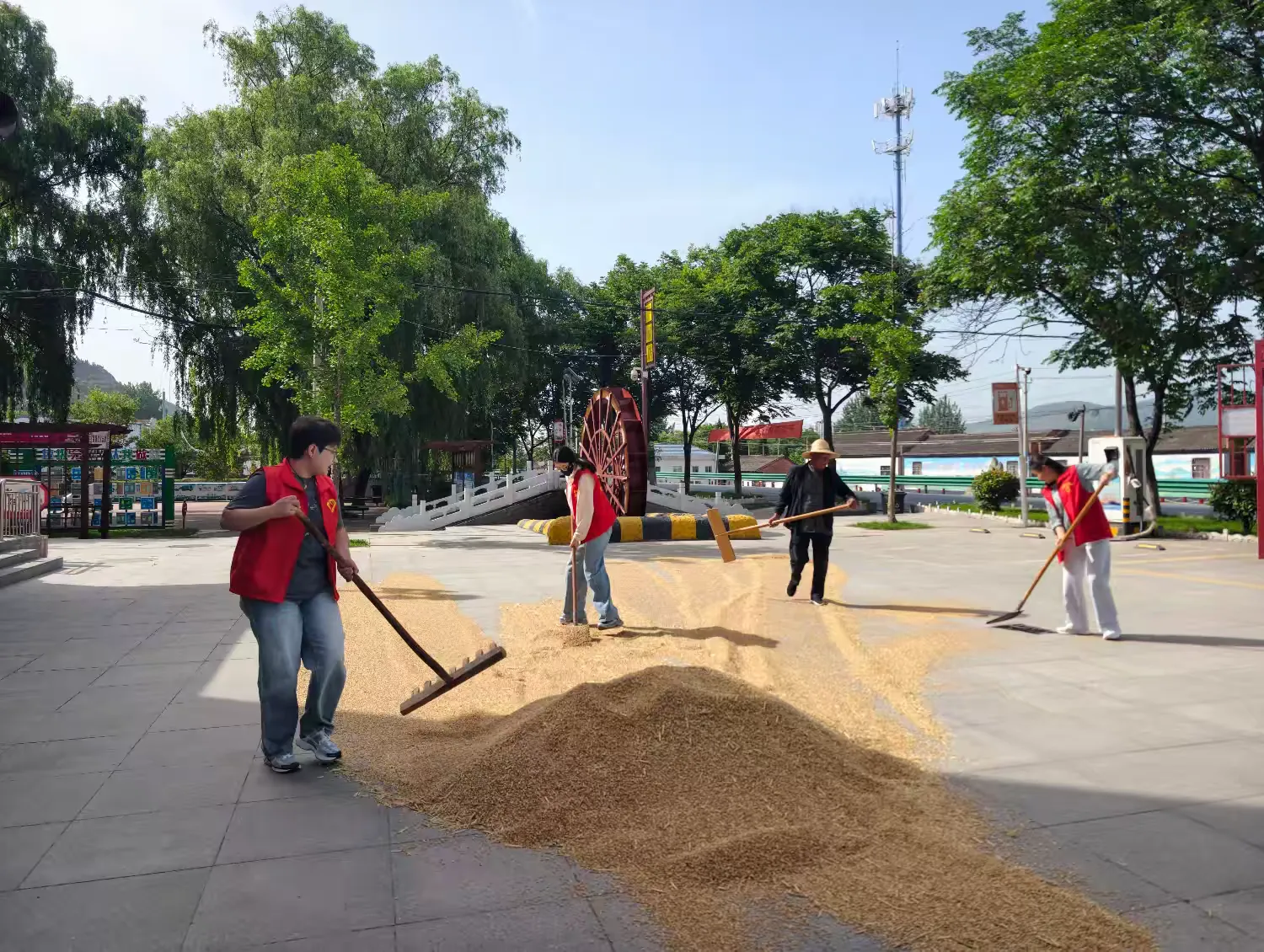 简篇-麦浪飘香迎丰收 贴心护航保归仓