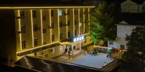 IMG_256