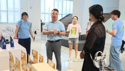 IMG_256