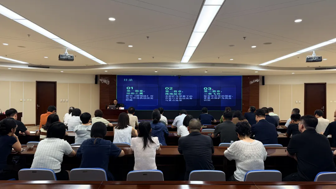 IMG_256