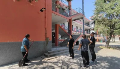 IMG_256