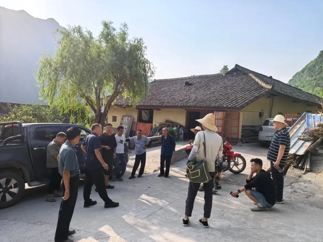 IMG_256