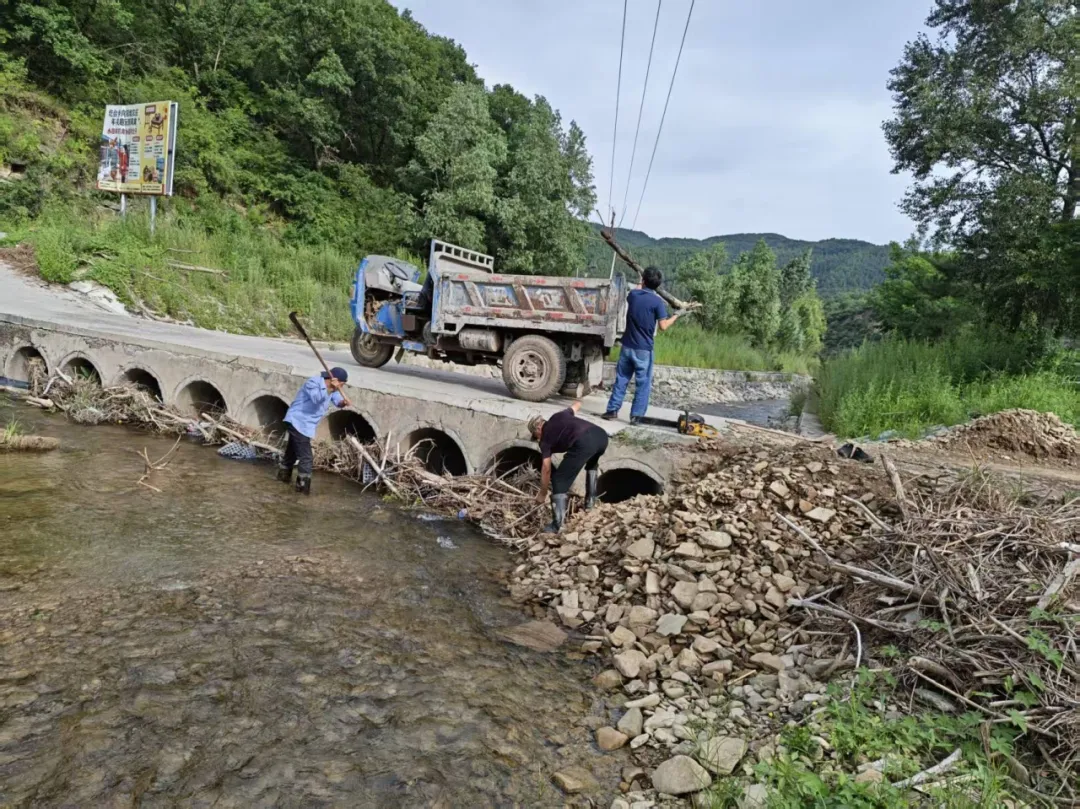 IMG_256