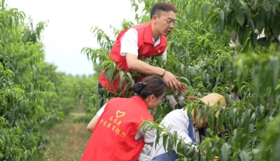 IMG_256