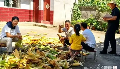 8月16日，洋县溢水镇干部走进农户家中，一边帮群众干农活一边拉家常。通讯员 李刚摄