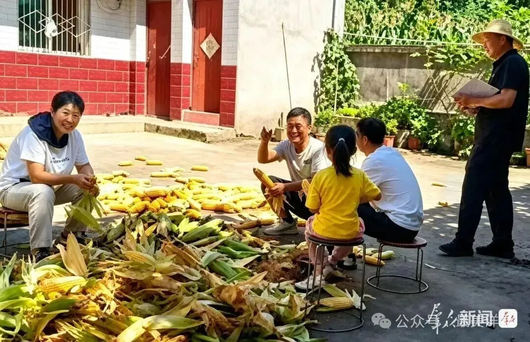 8月16日,洋县溢水镇干部走进农户家中,一边帮群众干农活一边拉家常。通讯员 李刚摄