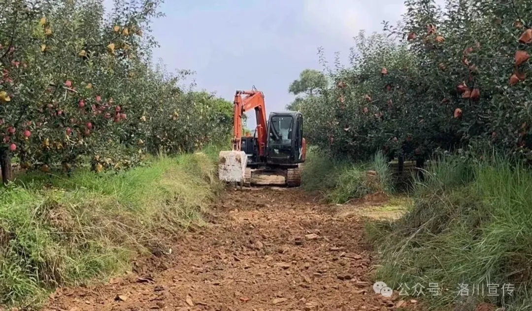 IMG_256
