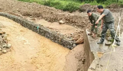 IMG_256