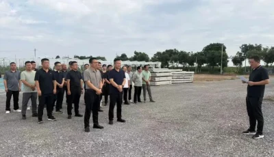 IMG_256