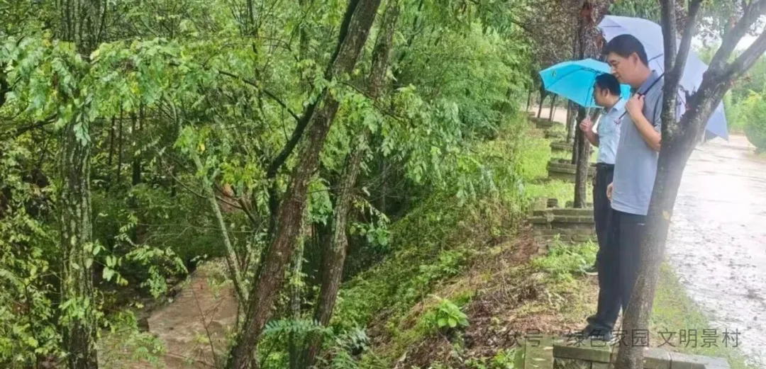 IMG_258