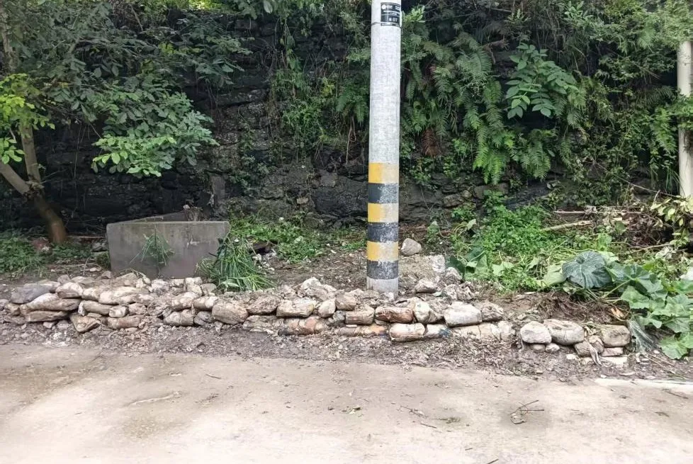 IMG_265
