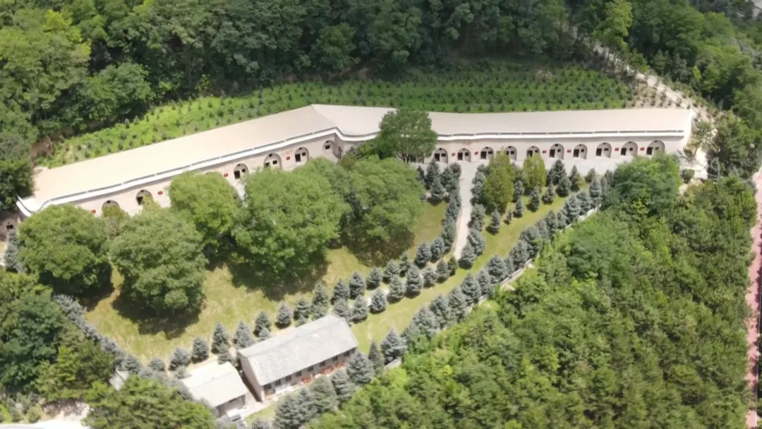 IMG_272