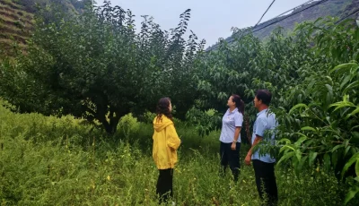 微信图片_20260828131108_4_74.jpg