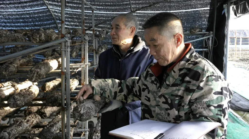 b032b4cf-8a11-4bf2-b6f1-b79ab91745c6.png