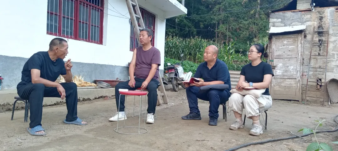 IMG_256