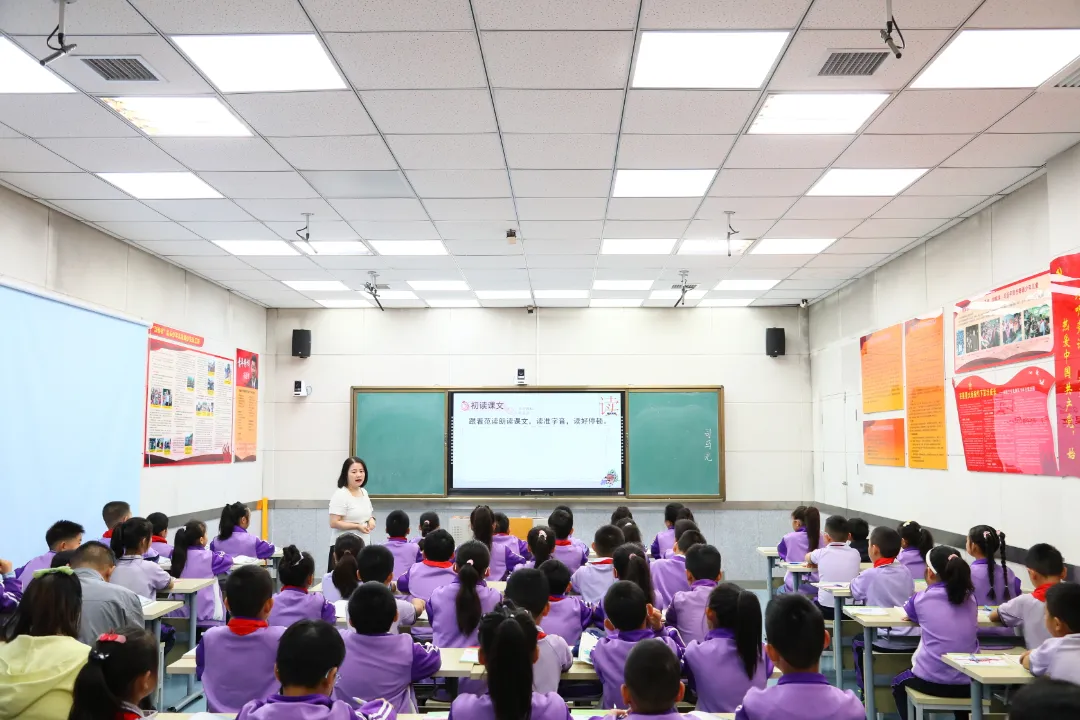 IMG_256