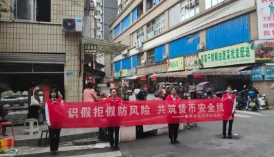 IMG_256