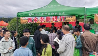 西乡农商银行扎实开展2026年国家网络安全宣传周活动 (1)