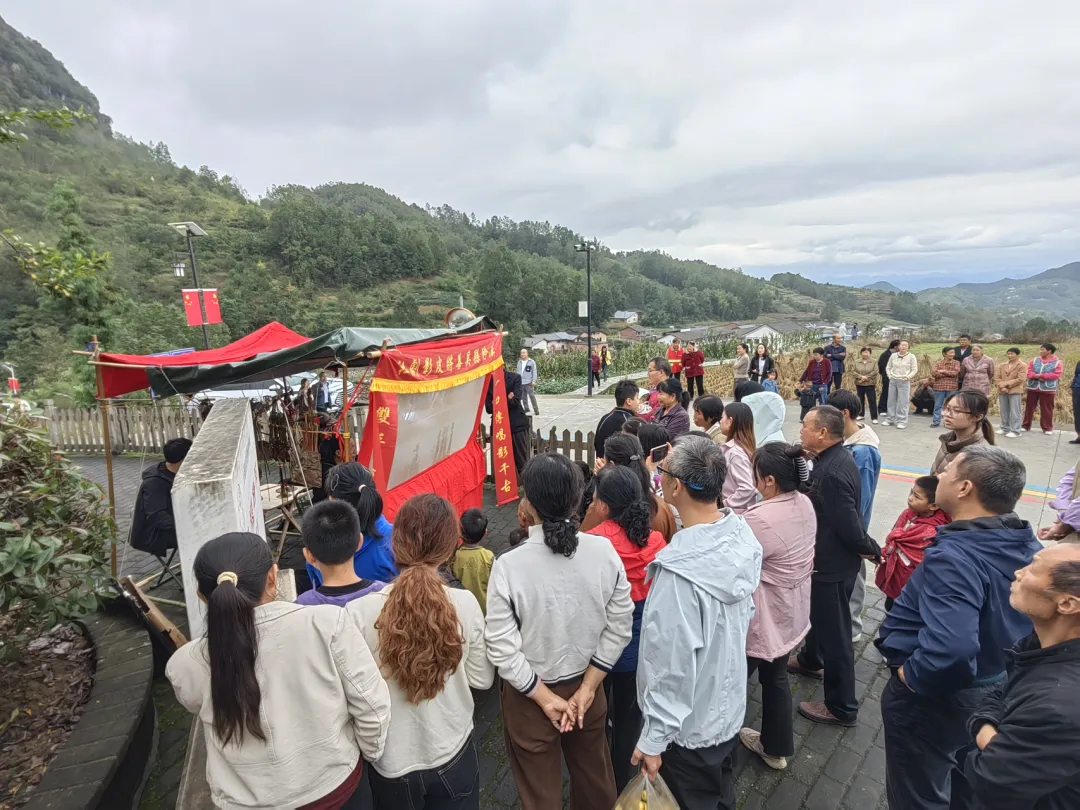 IMG_259