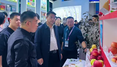 简篇-赴农高盛会取真经 以科创赋能促振兴‍——崔家头镇赴杨凌农高会参观学习