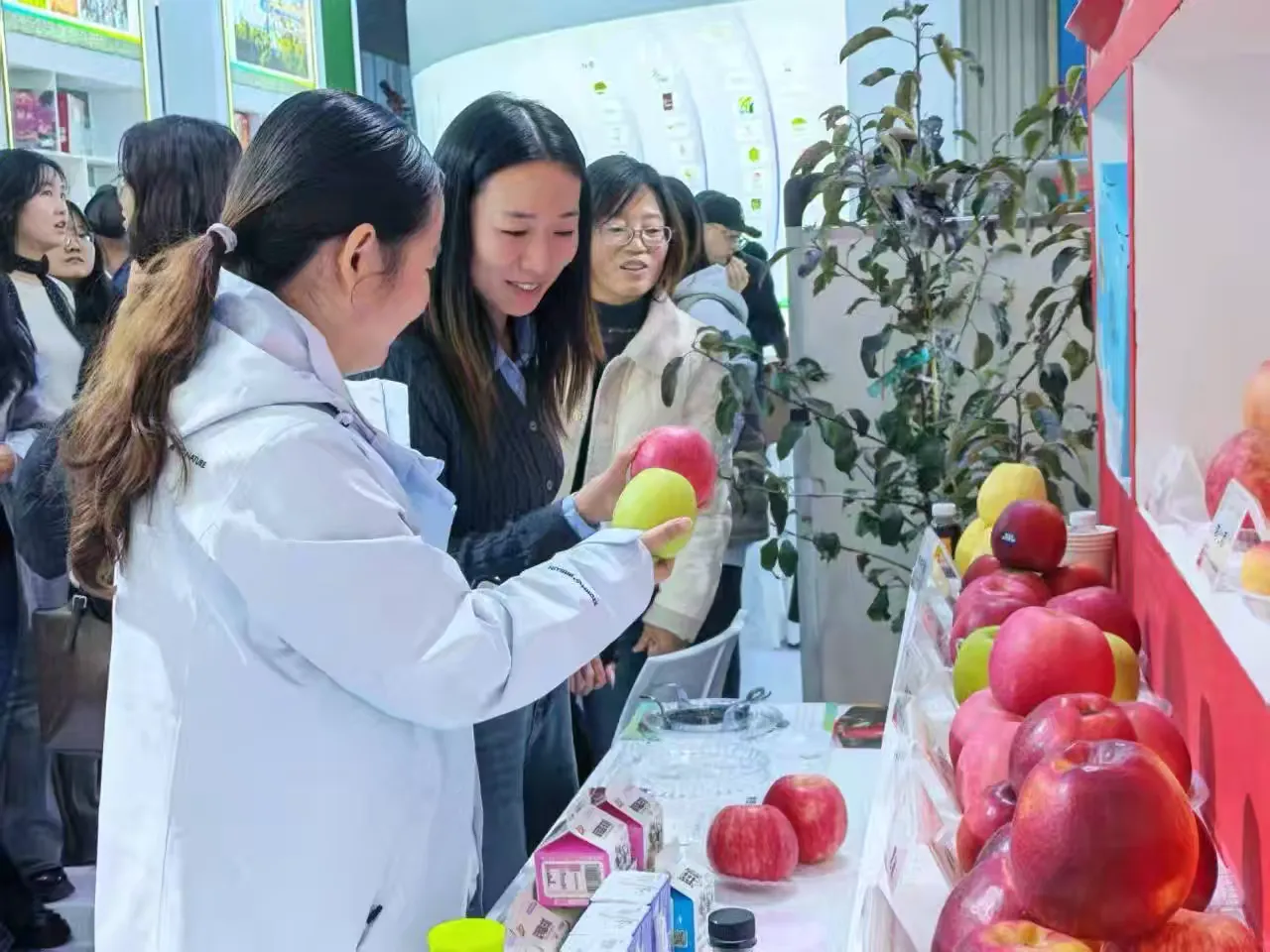简篇-赴农高盛会取真经 以科创赋能促振兴——崔家头镇赴杨凌农高会参观学习