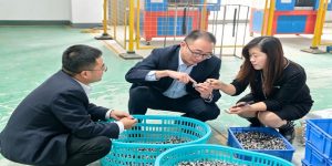 师徒结对传帮带 青蓝赋能促发展——西乡农商银行总部营业部企贷人才培养成效显著